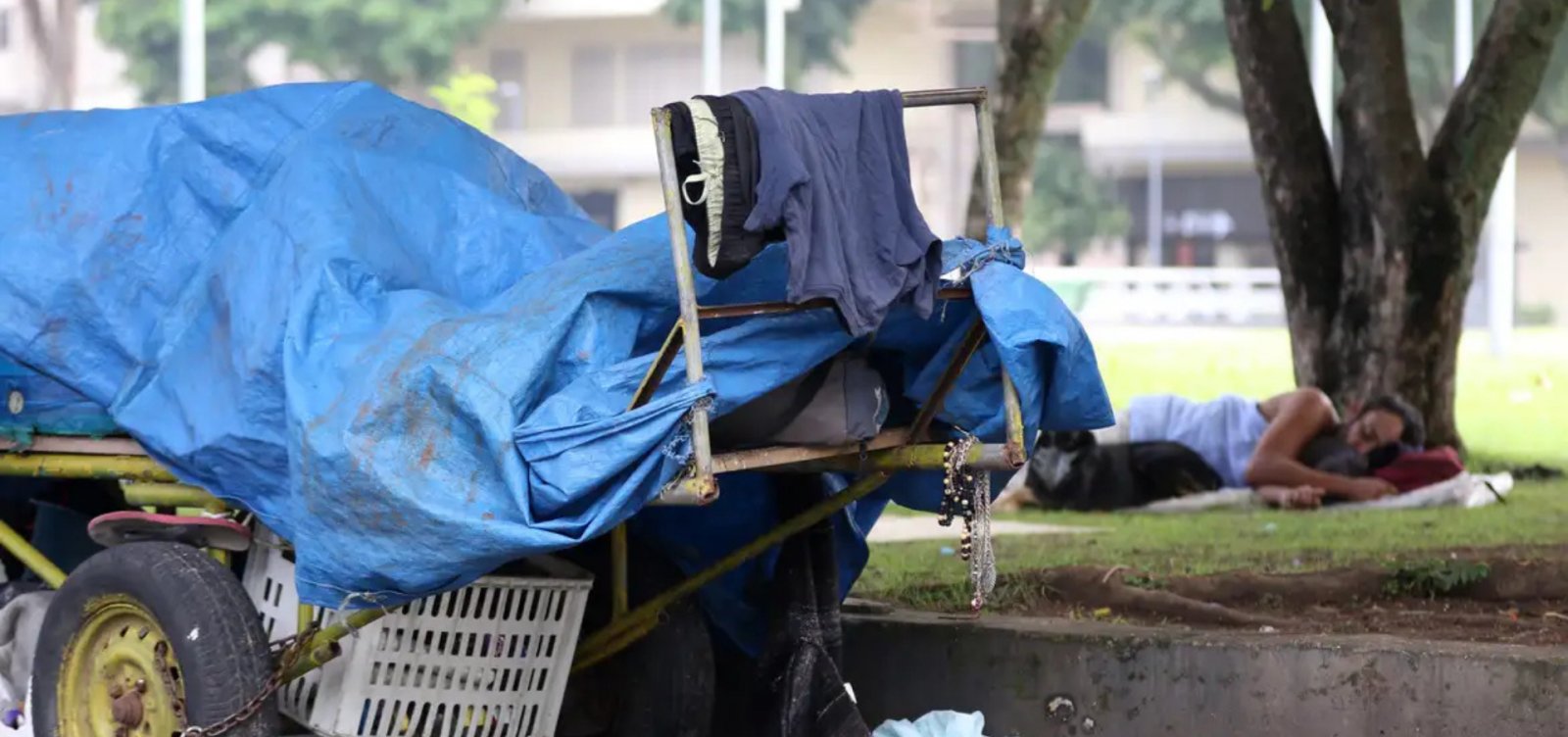 TJ da Bahia realiza mutirão em Salvador para atender população em situação de rua