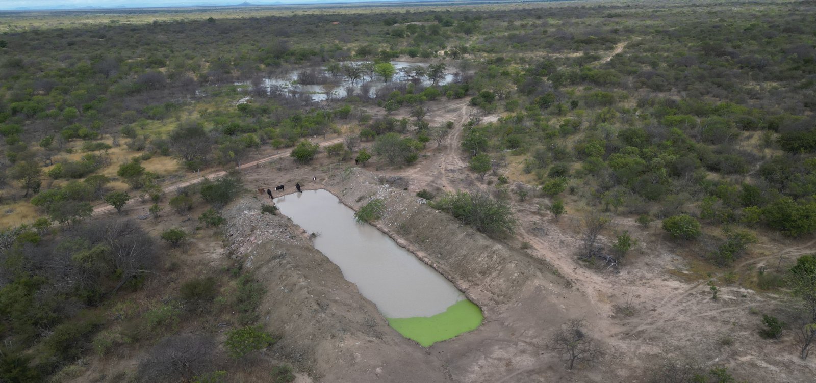 Governo Federal reconhece situação de emergência em três cidades da Bahia