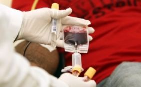 Homossexuais têm restrições para doar sangue no Brasil e nos EUA