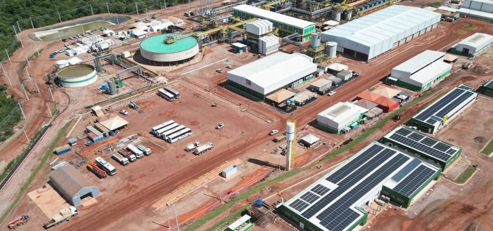 Acordo com os EUA sobre terras raras deve impulsionar expansão da Serra Verde, diz presidente da empresa