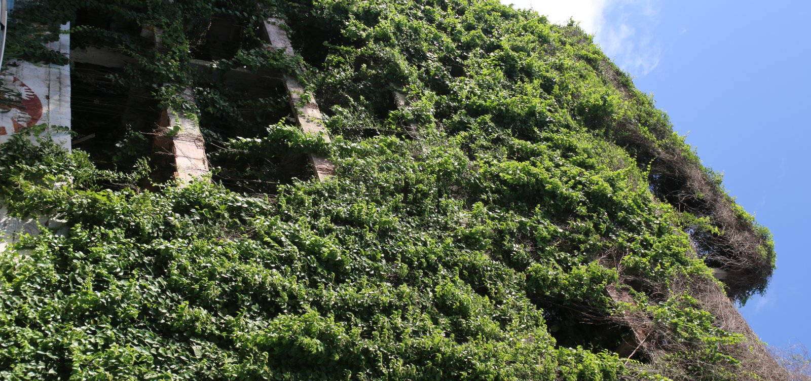 Cemitérios de concreto: prédios inacabados se acumulam sem resposta do poder público em Salvador