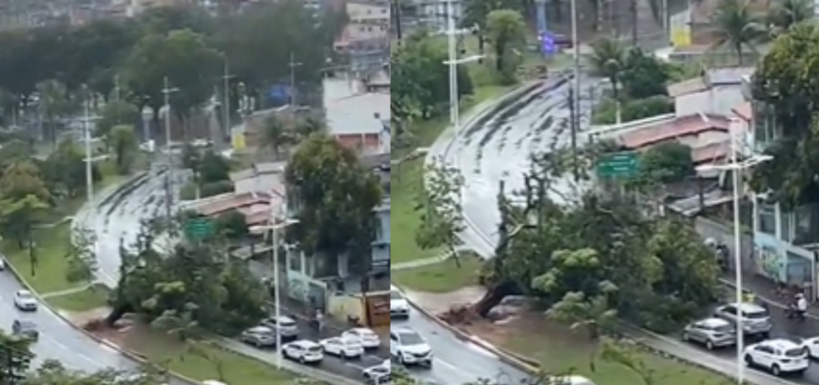 Árvore cai na Avenida Garibaldi após chuvas e causa congestionamento em Salvador