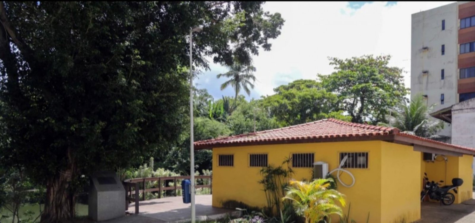 Projeto Curare oferece apoio psicológico gratuito em Salvador