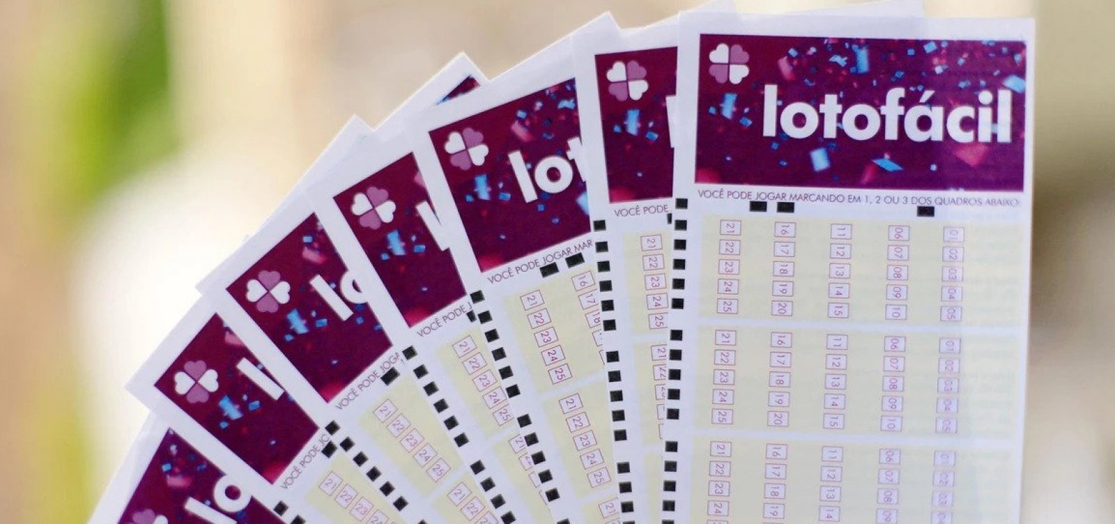 Apostas da Bahia levam mais de R$ 1,8 milhão na Lotofácil