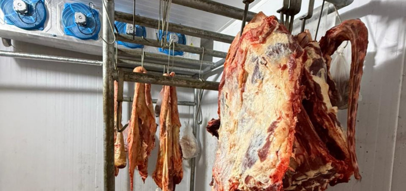 Mais de uma tonelada de carne irregular é apreendida em municípios da Bahia; confira cidades