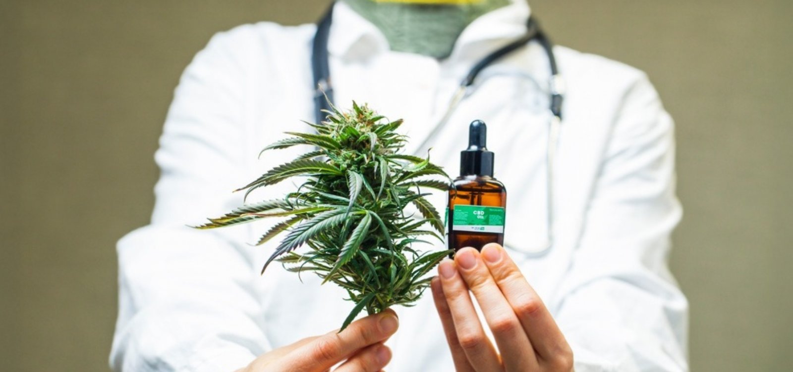 Anvisa libera exportação de produtos à base de cannabis medicinal produzidos no Brasil