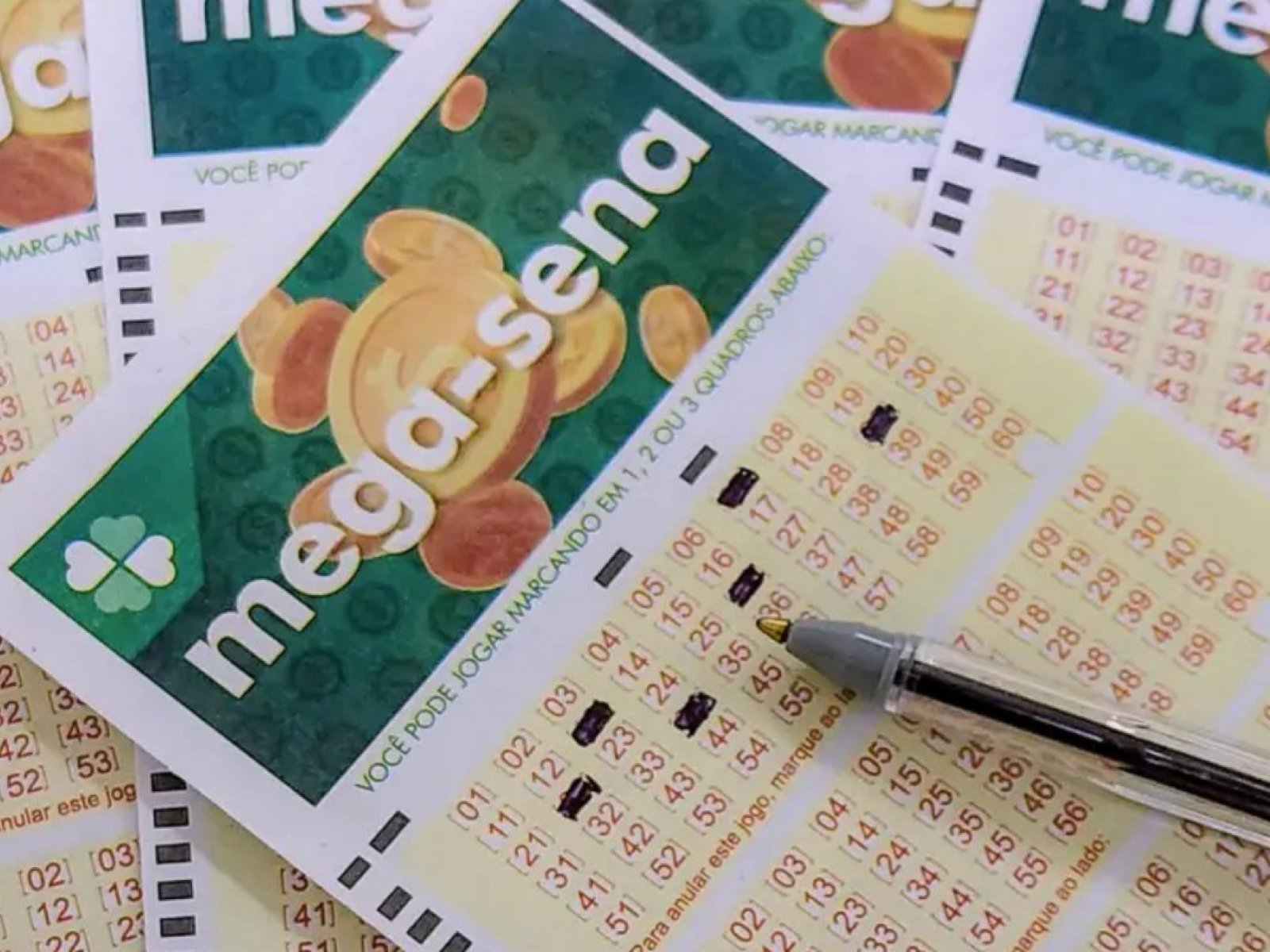 Apostas de Salvador faturam quase R$ 180 mil na Mega-Sena