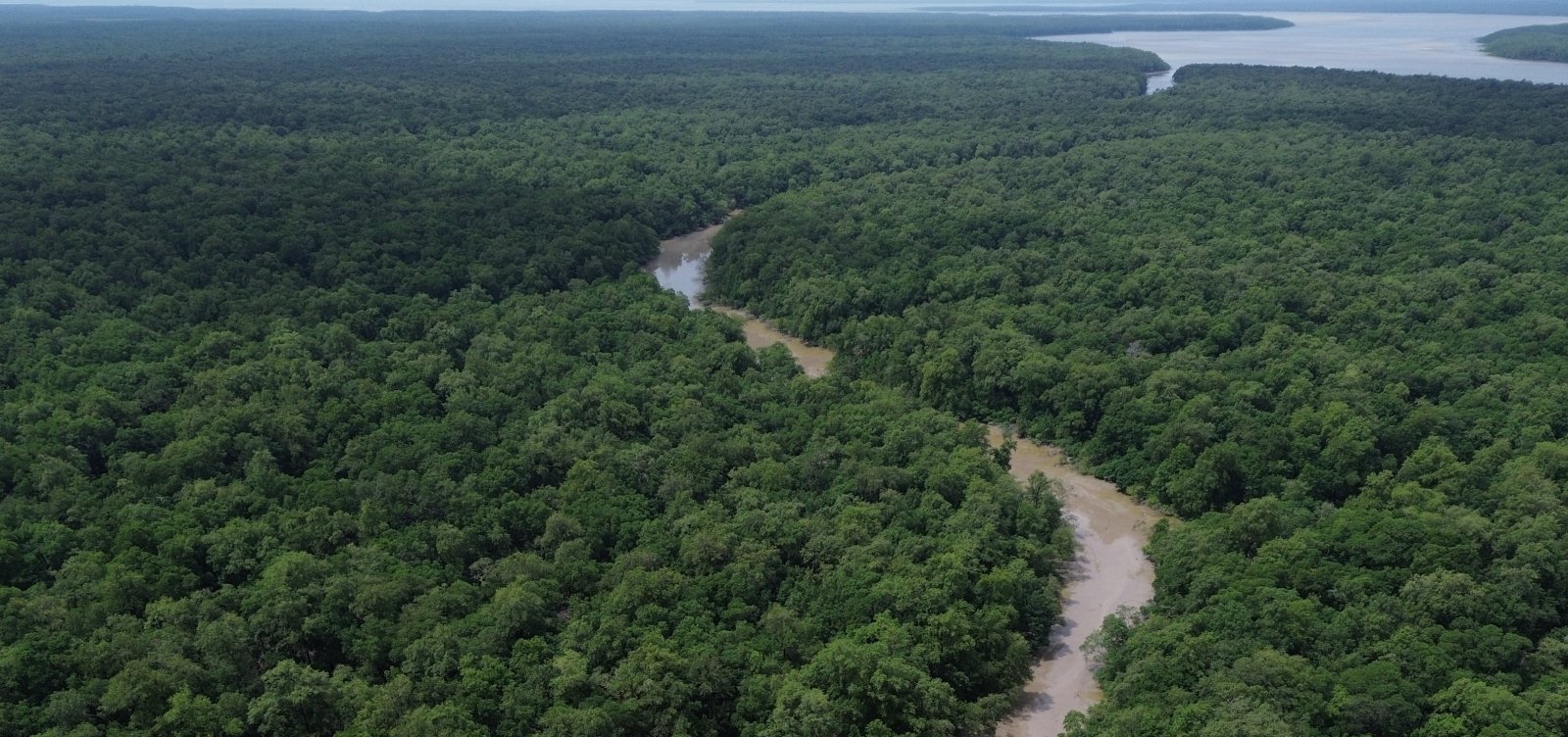 Governo lança ofensiva de R$ 209 milhões contra facções e crimes ambientais na Amazônia