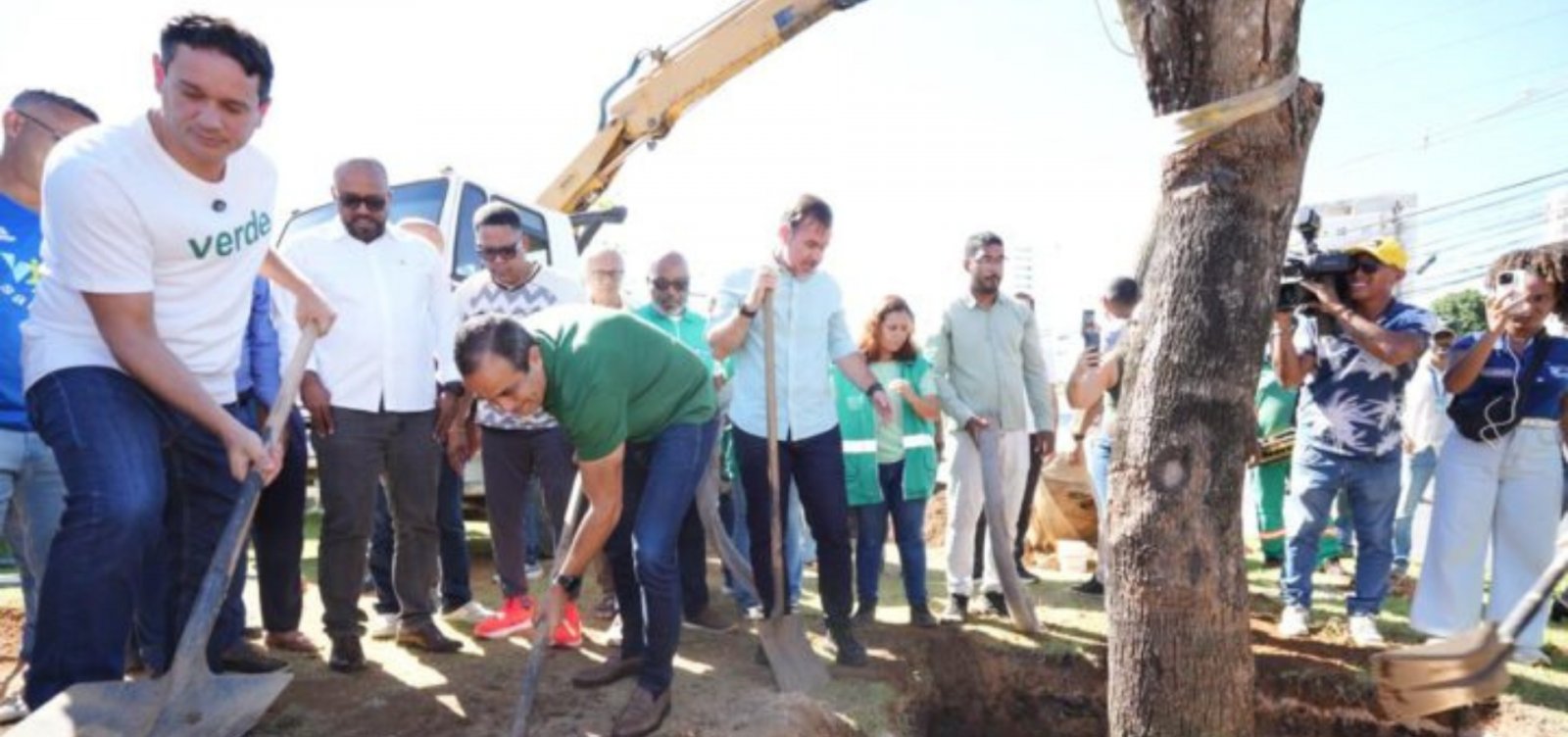 Cabula ganha corredor verde com plantio de árvores adultas em Salvador