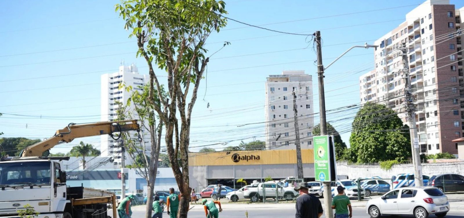 Salvador terá programação ambiental com feiras, plantios e ações voltadas à sustentabilidade 