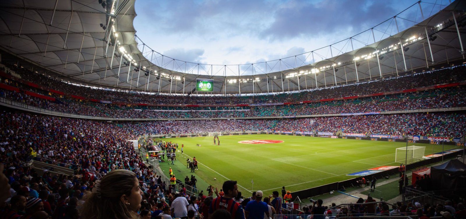Bahia x Botafogo: onde assistir, prováveis escalações e arbitragem