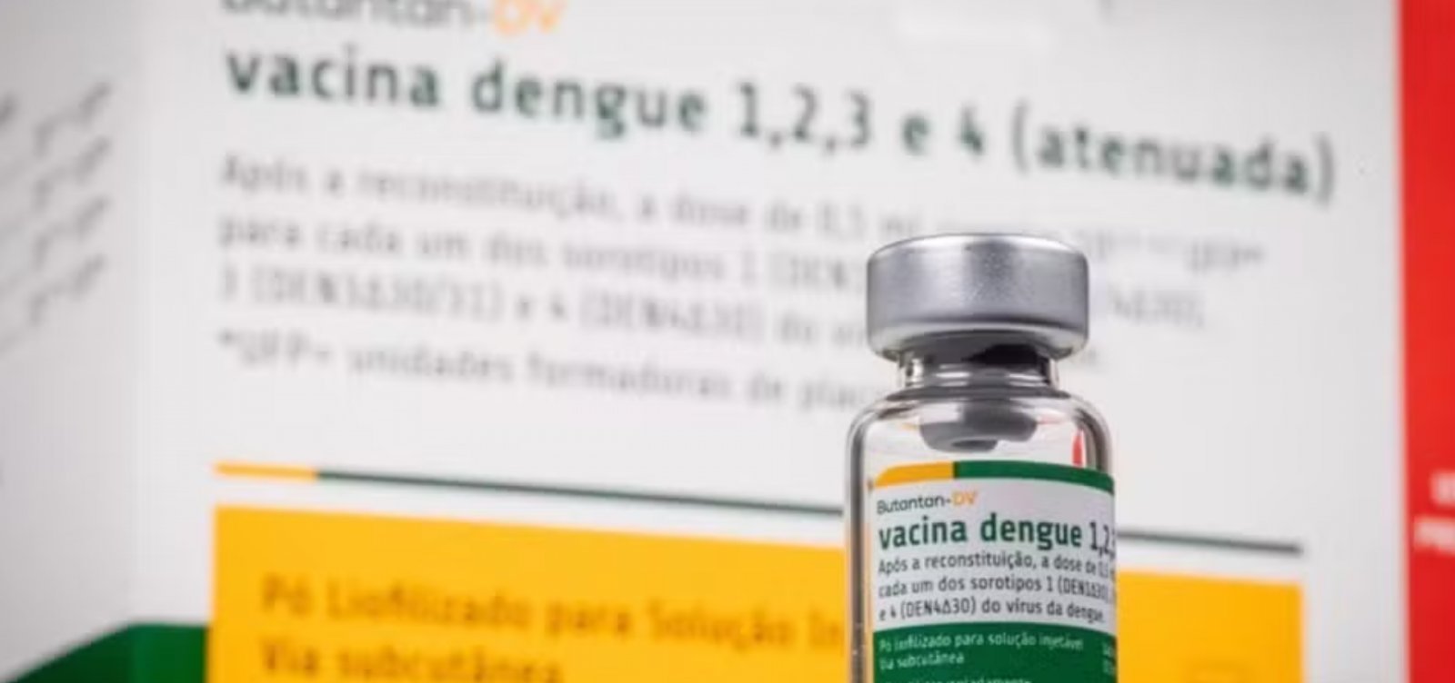 Organizações de saúde consideram "responsável e prudente" suspensão da vacina da dengue do Butantan