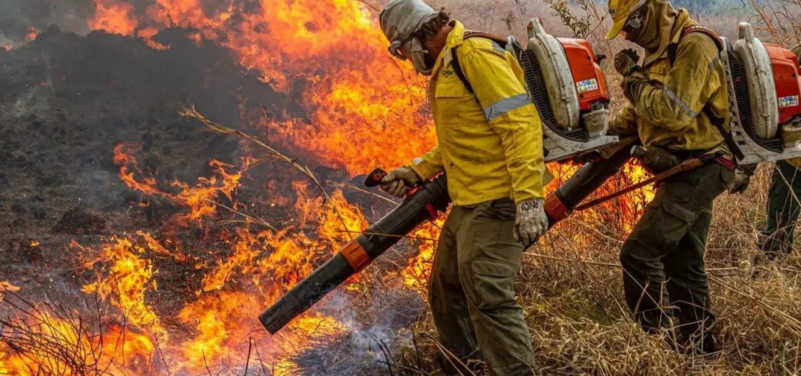 Governo repassa R$ 337 milhões para combate a incêndios e desmatamento