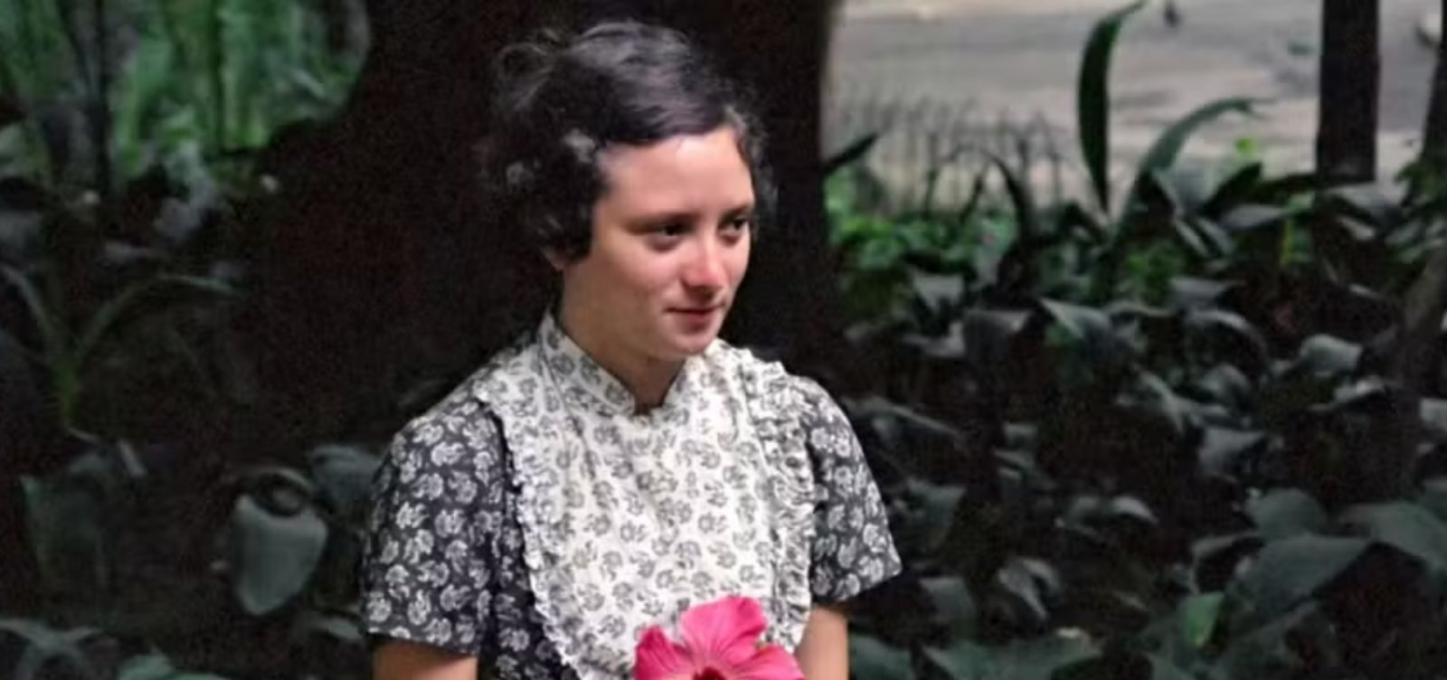 "A Hora da Estrela" é o filme mais assistido da Tela Brasil; veja o ranking