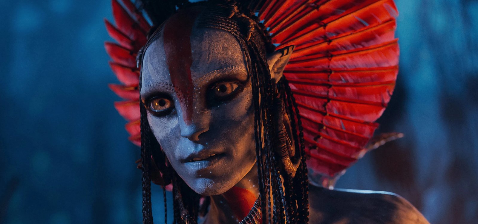 Filé do Streaming: Avatar e A Casa do Dragão entre os destaques da semana