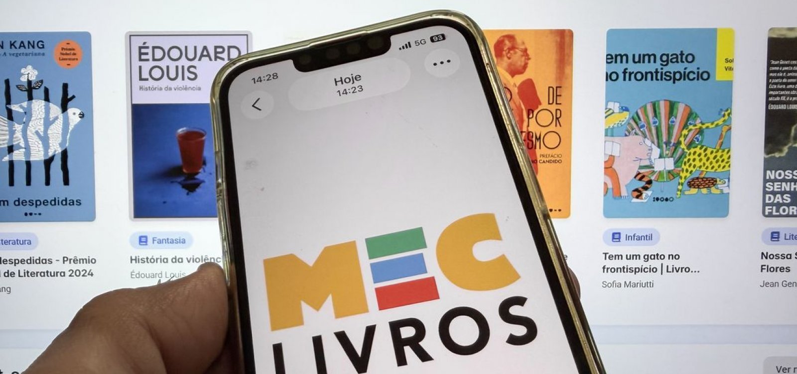 MEC Livros oferece mais 7,8 mil obras em inglês e espanhol