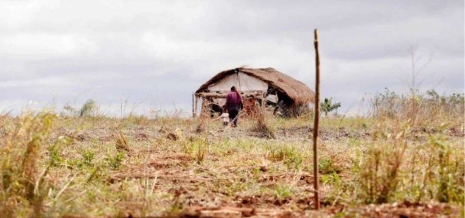 Durigan afirma que debate sobre renegociação foca em perdas rurais consequentes de fenômenos climáticos
