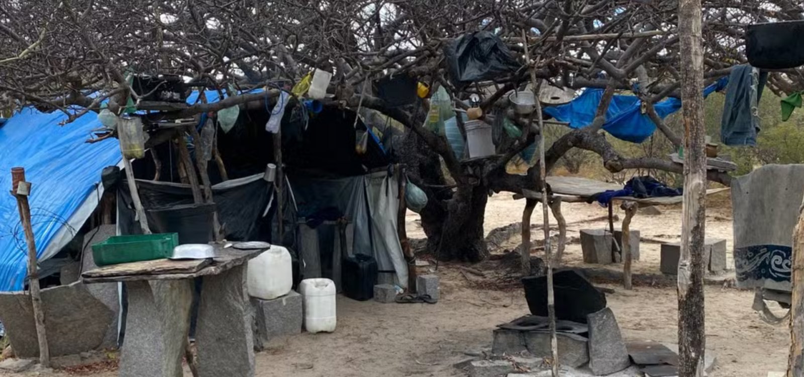 Vinte trabalhadores são resgatados de condições análogas à escravidão no norte da Bahia