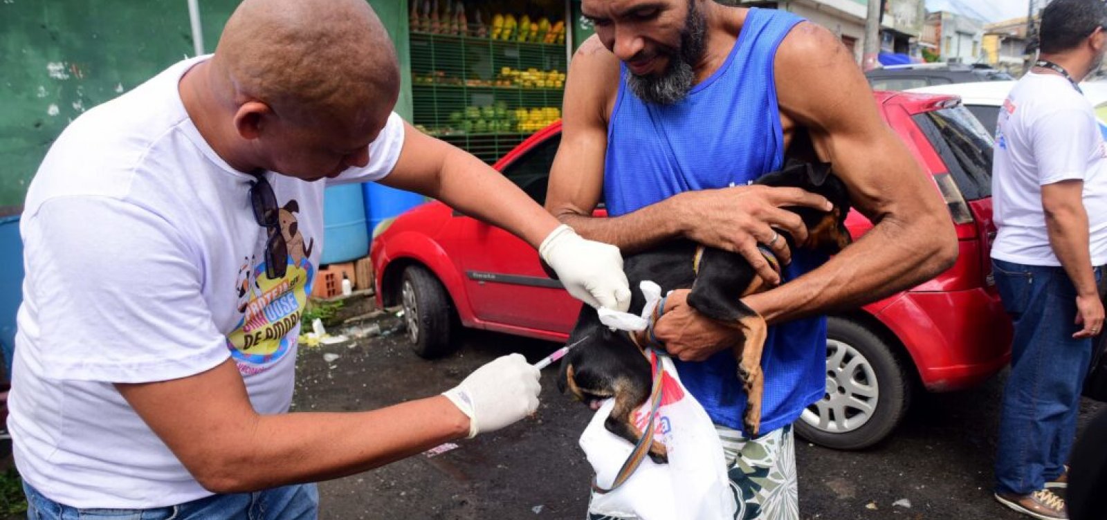 Salvador inicia campanha de vacinação antirrábica para cães e gatos nesta segunda-feira