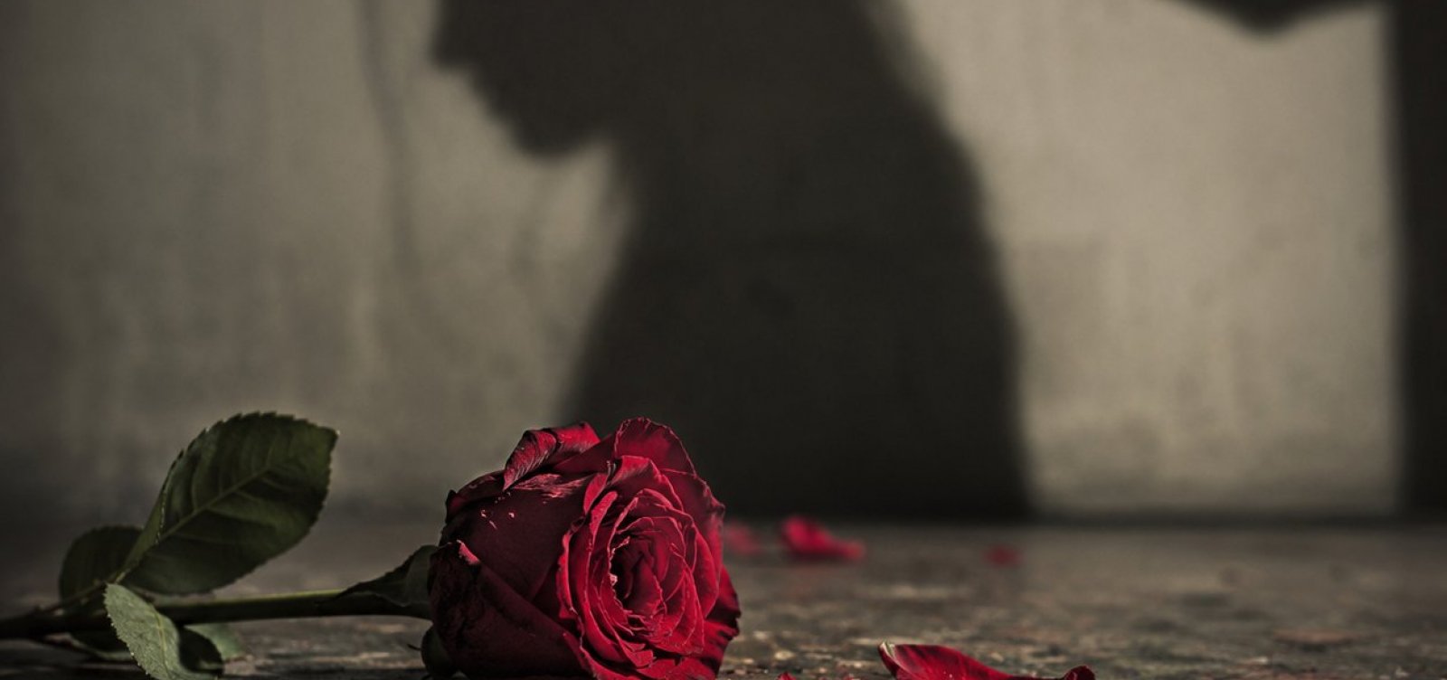 A conta que não fecha: enquanto homicídios recuam, feminicídios batem recorde no Brasil