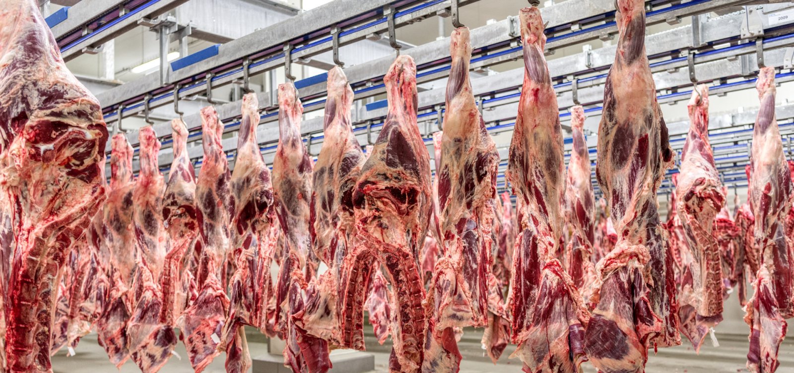 Exportações de carne do Brasil para a União Europeia só devem ser retomadas em 2028