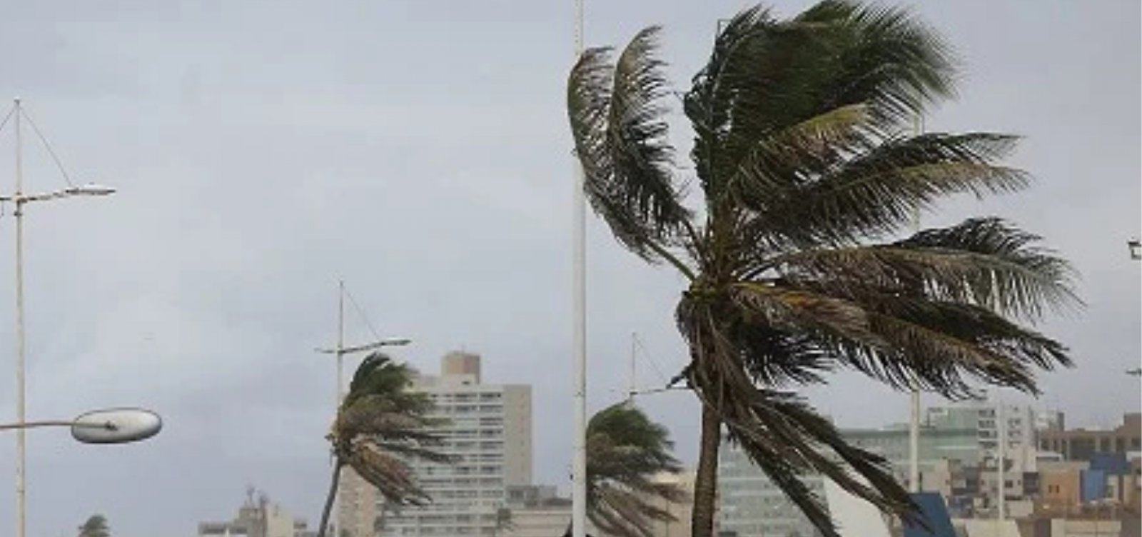 Salvador registra rajadas de vento de até 43,2 km/h nesta terça-feira