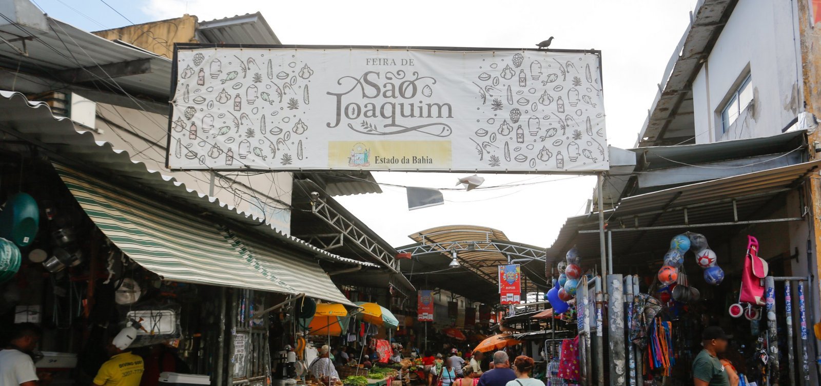 Festival Gastronômico leva feijoada gratuita e cultura baiana à Feira de São Joaquim