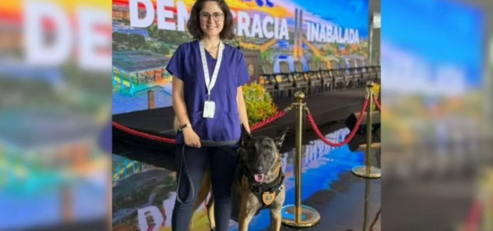 Morre veterinária atacada por cachorro no canil do Senado Federal
