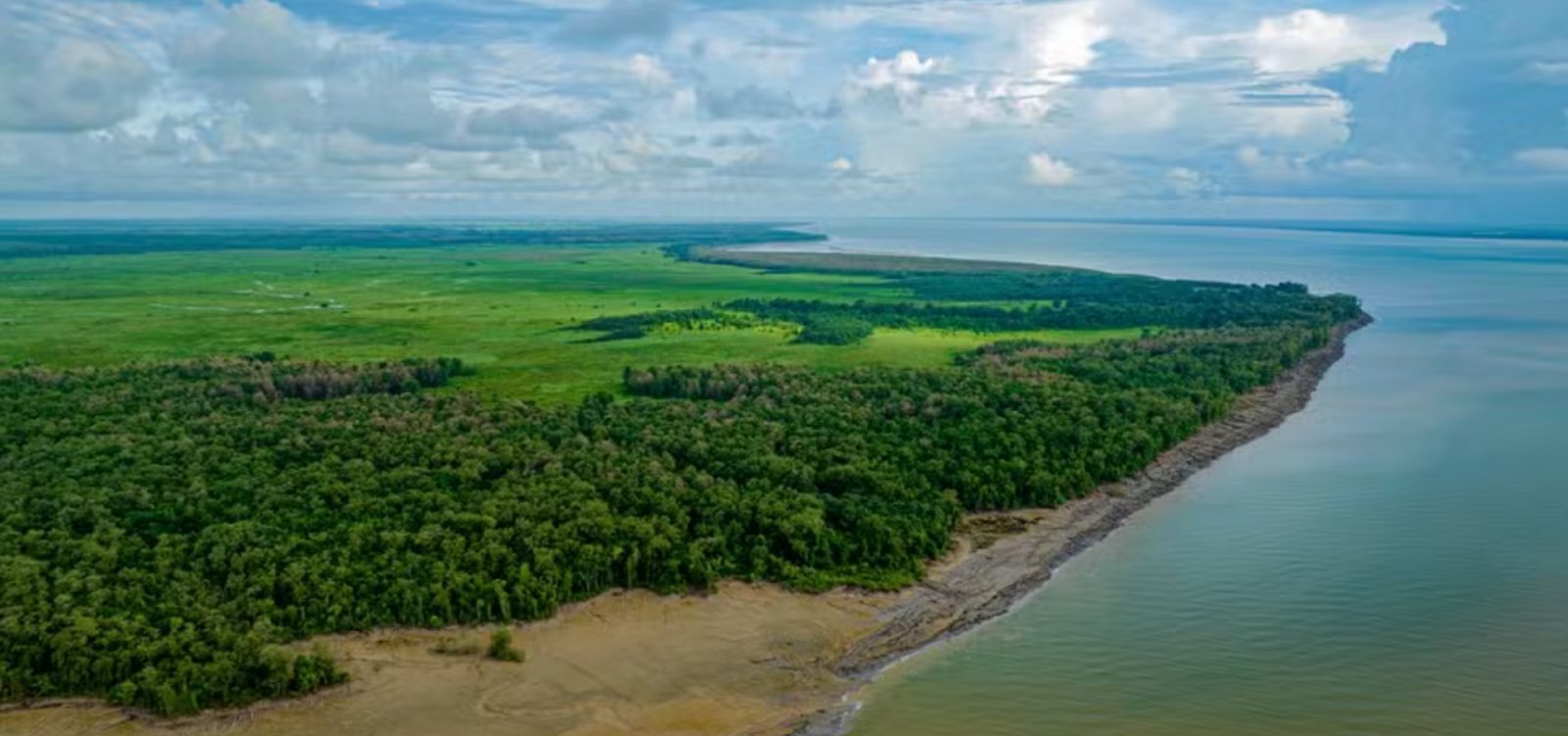 Ibama autoriza Petrobras a perfurar mais três poços na Foz do Amazonas