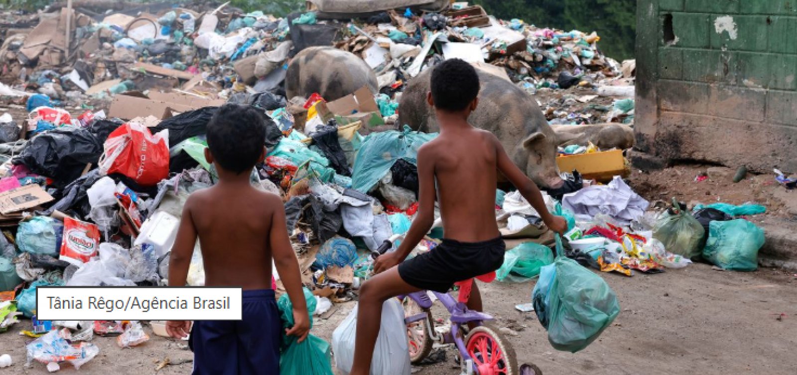 Senado aprova projeto que garante direito de crianças e adolescentes ao meio ambiente