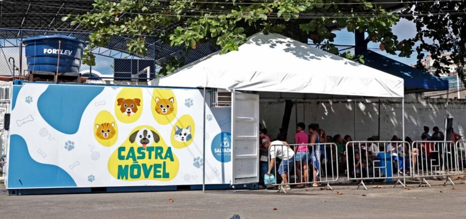 Salvador oferece castração gratuita para cães e gatos a partir desta terça-feira
