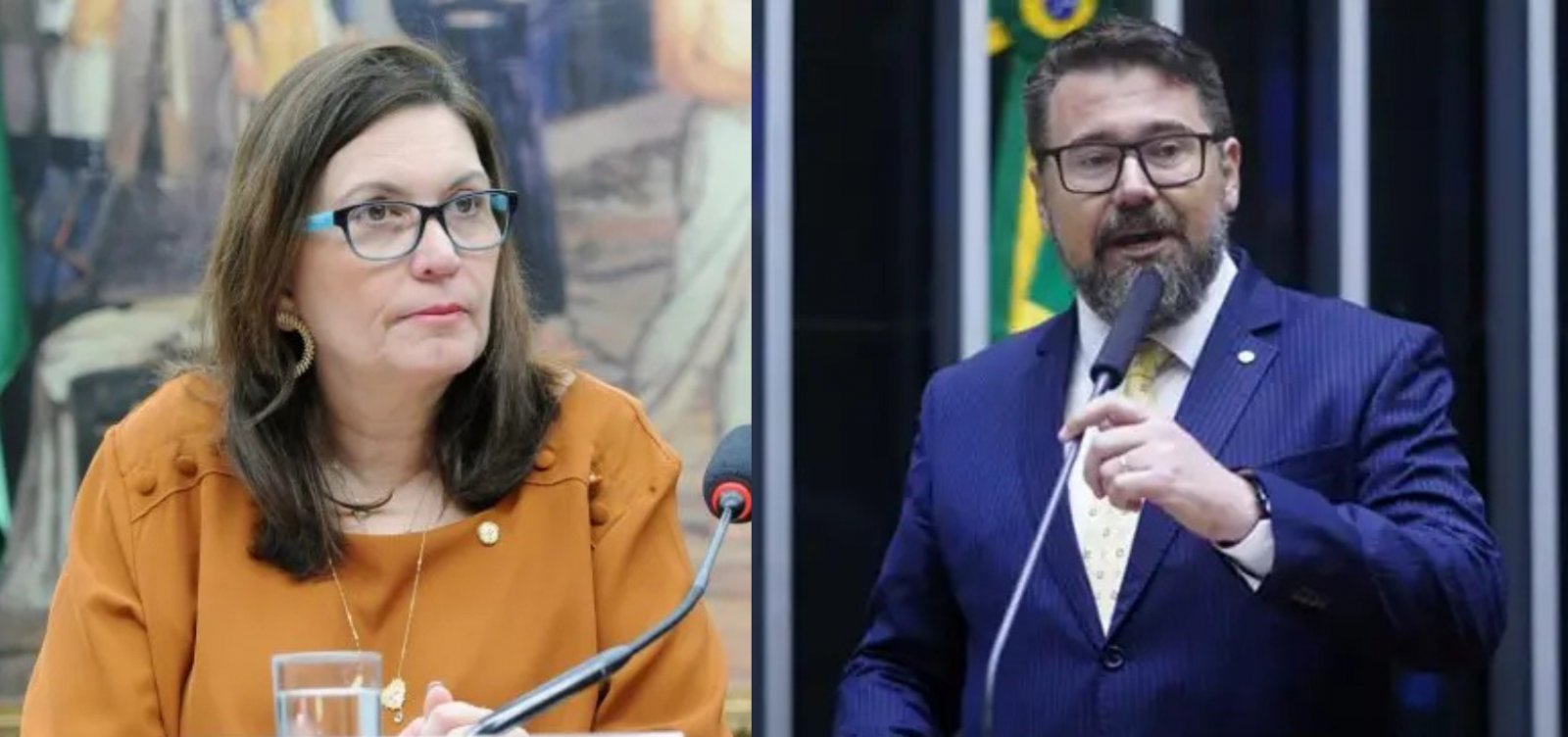 PF aponta emendas de Marcos Pollon e Bia Kicis para entidade ligada a produtora do Dark Horse 