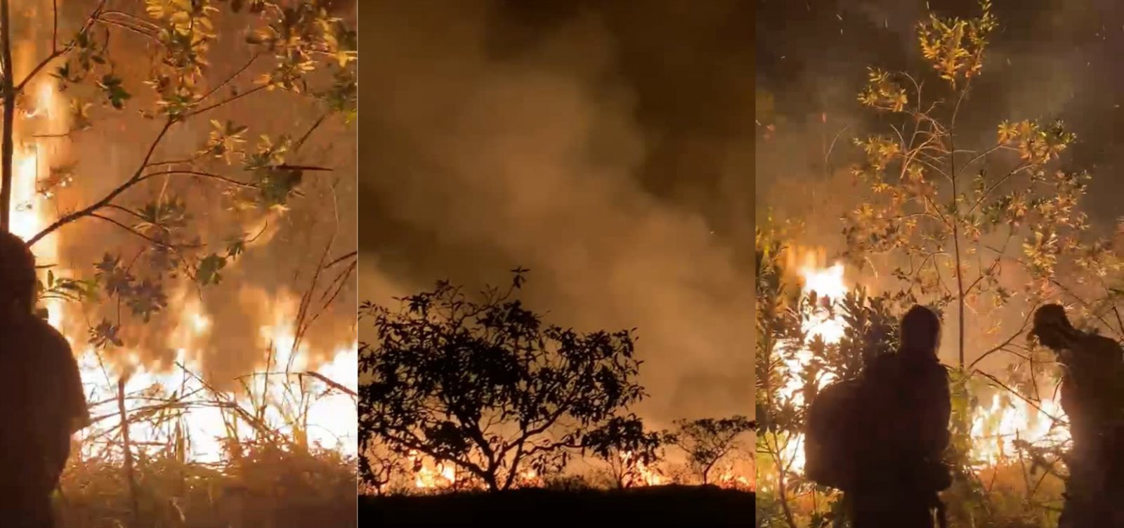 Incêndio avança na região de Lençóis e ameaça novas áreas da Chapada Diamantina