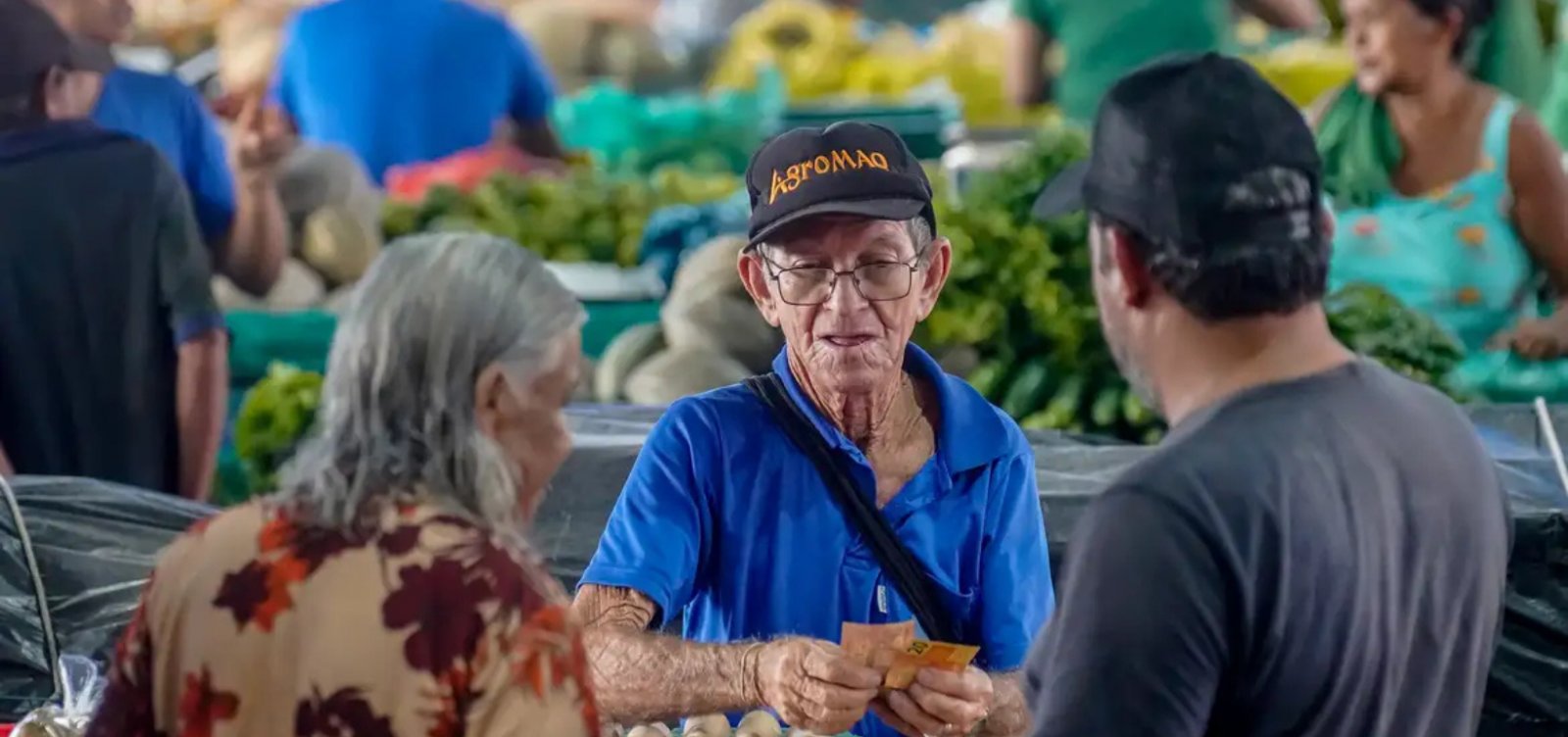 IBGE: 35% dos empreendedores brasileiros tinham CNPJ em 2025, maior percentual da série histórica