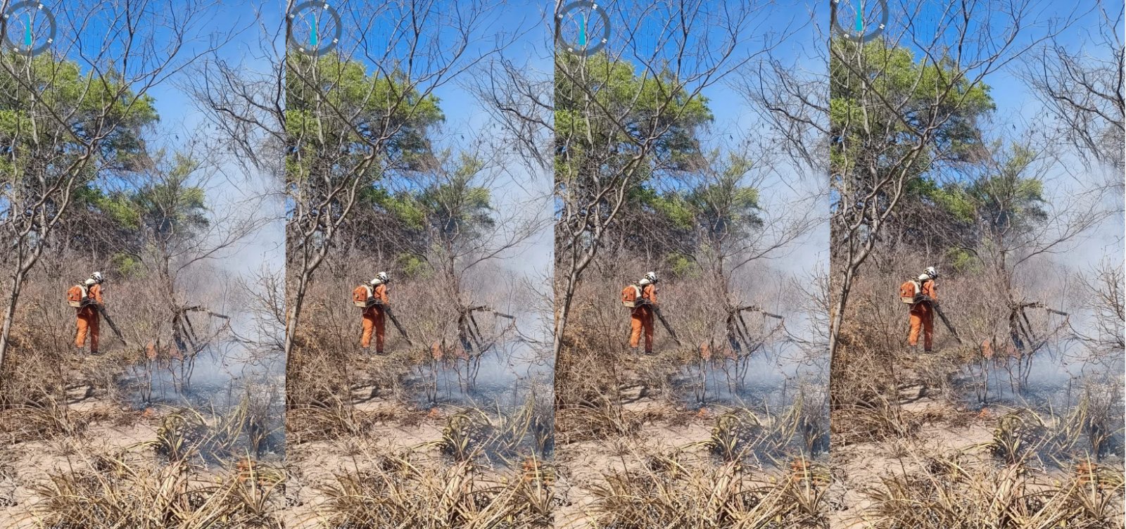 Bahia mobiliza 180 bombeiros para combater incêndios florestais em 11 municípios