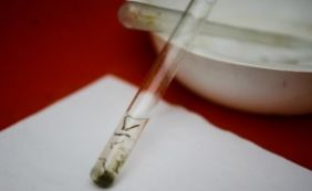 Zika: exames serão obrigatórios para planos de saúde a partir desta quarta