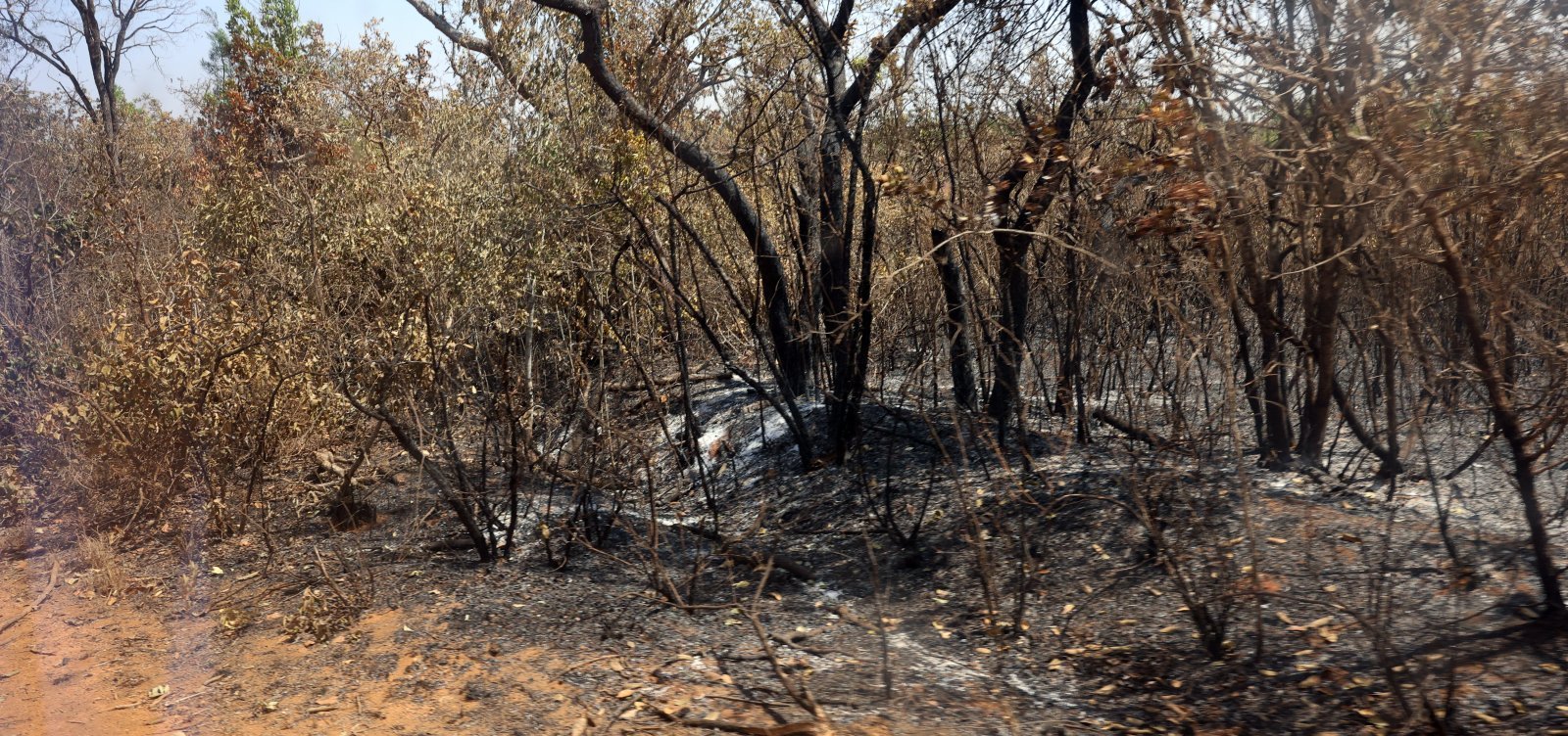 Bahia enviará alertas pelo WhatsApp sobre riscos do El Niño nos 417 municípios