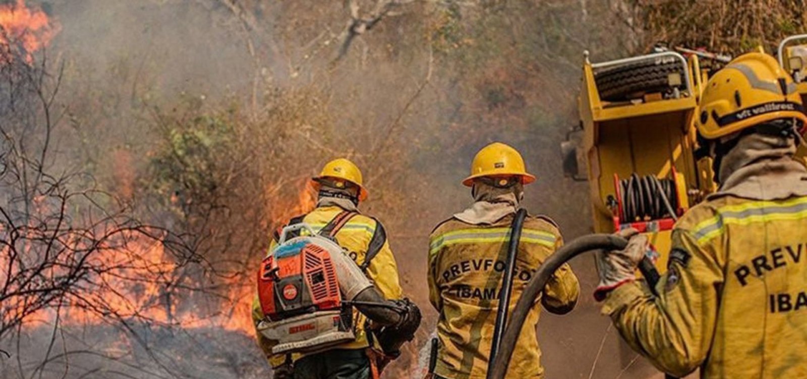 Amazonas registra alta de 271% nos focos de incêndio e recebe reforço federal