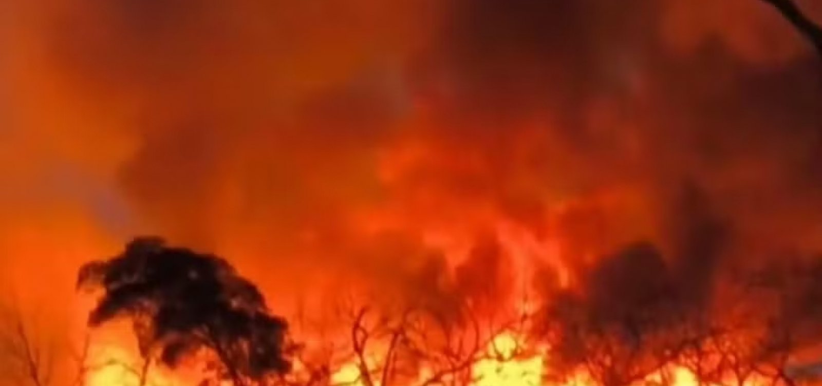 Incêndio avança sobre área de conservação no norte da Bahia