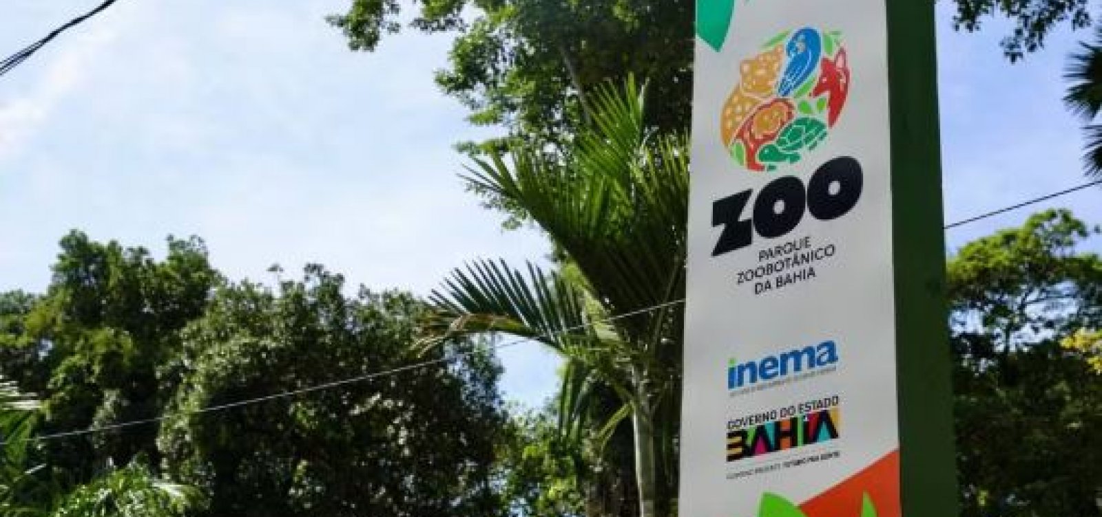 Inscrições para passeio noturno no Zoológico de Salvador abrem nesta terça-feira