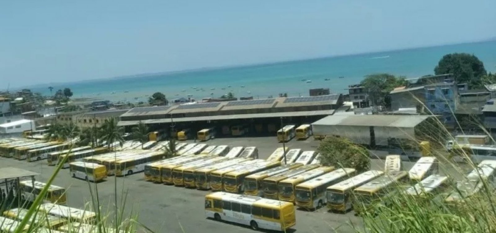 Procon encontra 908 ônibus em garagens de Salvador durante fiscalização eleitoral
