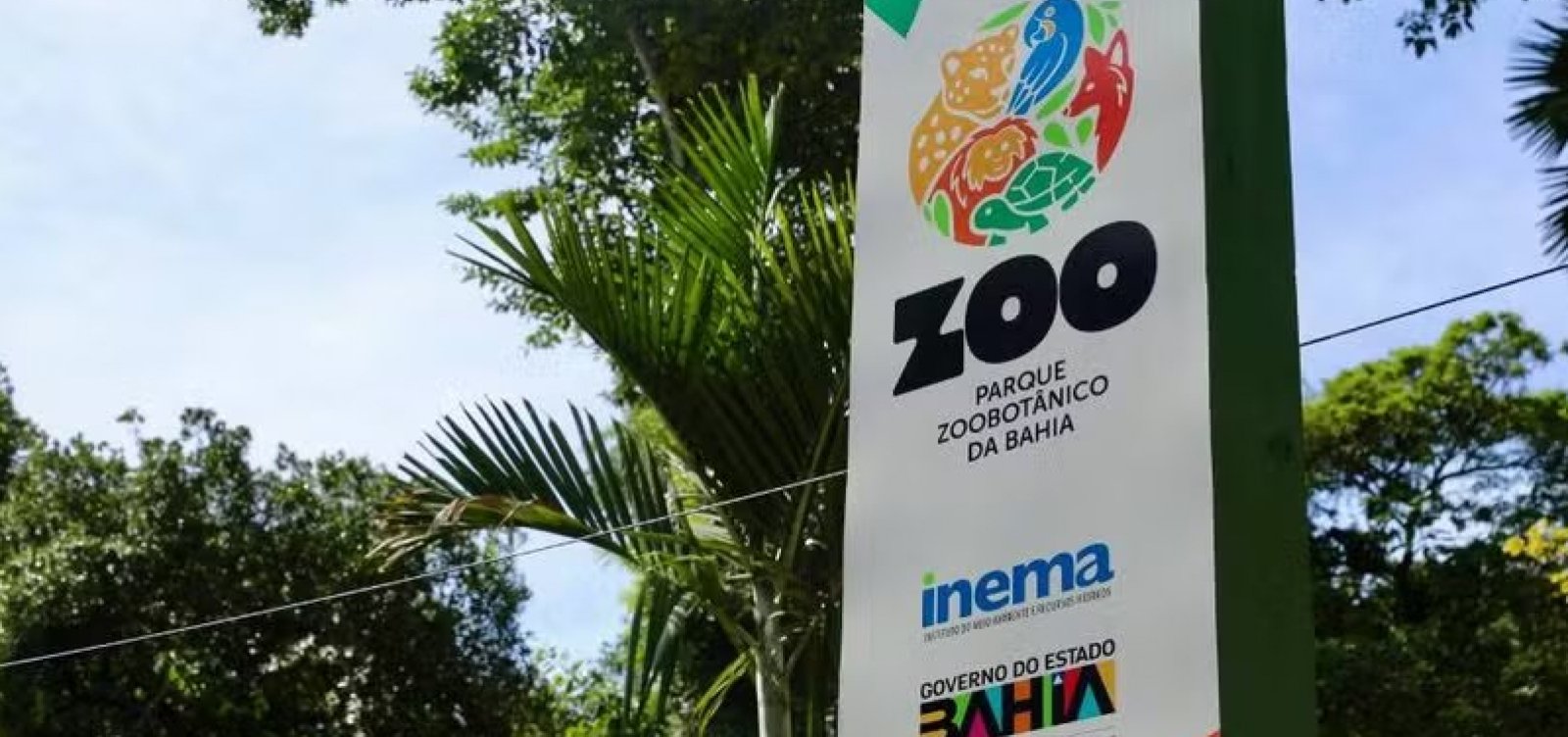 Zoo Noturno abre inscrições para passeio gratuito em Salvador nesta quinta