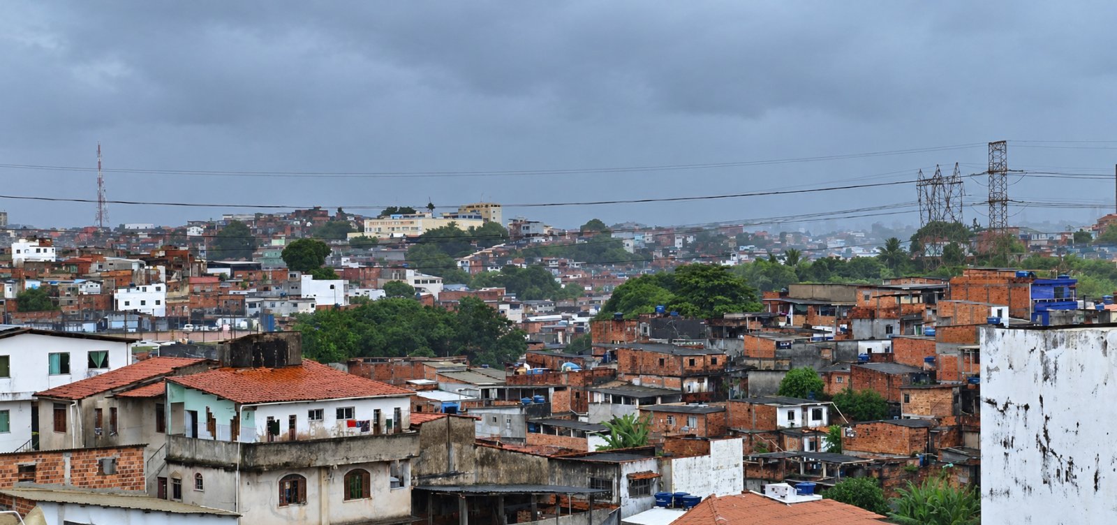 Frente fria provoca quedas de árvores e ameaça de desabamento em Salvador
