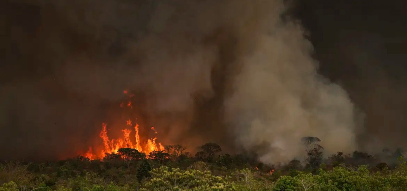 Amazonas registra queda de 39% nos focos de queimadas em outubro