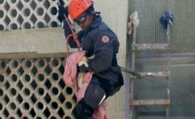 Bombeiros escalam prédio para resgatar gato preso em sacada