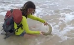 Casal vai pagar R$ 20 mil por perseguir e capturar tubarão em Noronha