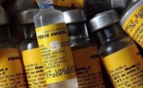 Sobe para 89 número de mortes confirmadas por febre amarela no Brasil