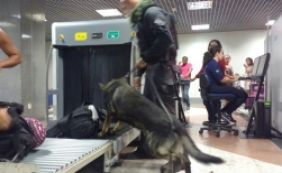 Força-tarefa impede entrada de armas e drogas pelo aeroporto de Salvador