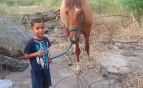 Após família relatar na internet sofrimento de criança, ladrão devolve cavalo