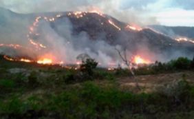 Incêndio atinge região da Chapada Diamantina há quatro dias